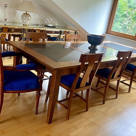 Wunderschoenes Grosses 3 Zimmer Apartament Zentrum Goldstadt Familienfreundlich Mit Garage Pforzheim Luaran gambar